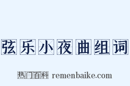 弦乐小夜曲组词是什么意思的图片